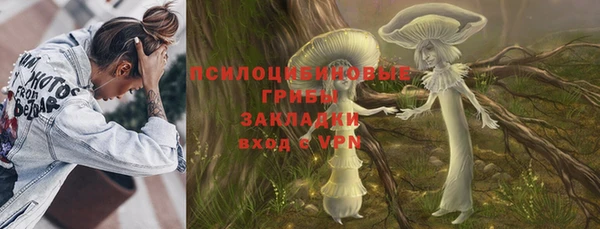 Альфа ПВП Вяземский