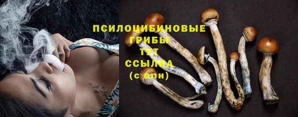 Альфа ПВП Вяземский