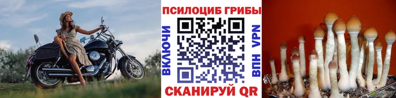 Псилоцибиновые грибы MAGIC MUSHROOMS  Купить  Мелеуз 